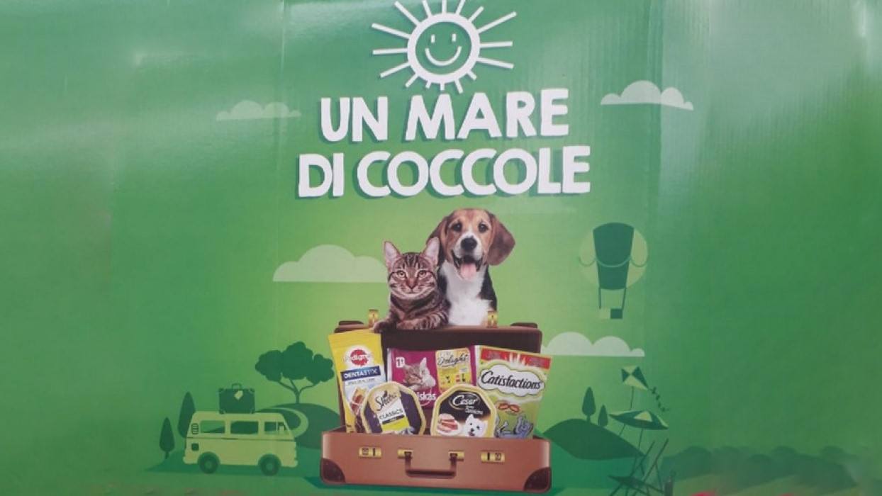 Concorso Pedigree Whiskas Cesar Sheba Catisfaction Un mare di coccole vinci telo mare