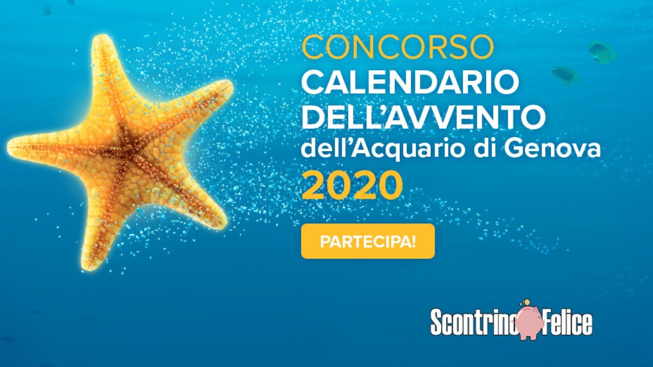 Calendario dell'Avvento Acquario di Genova 2020