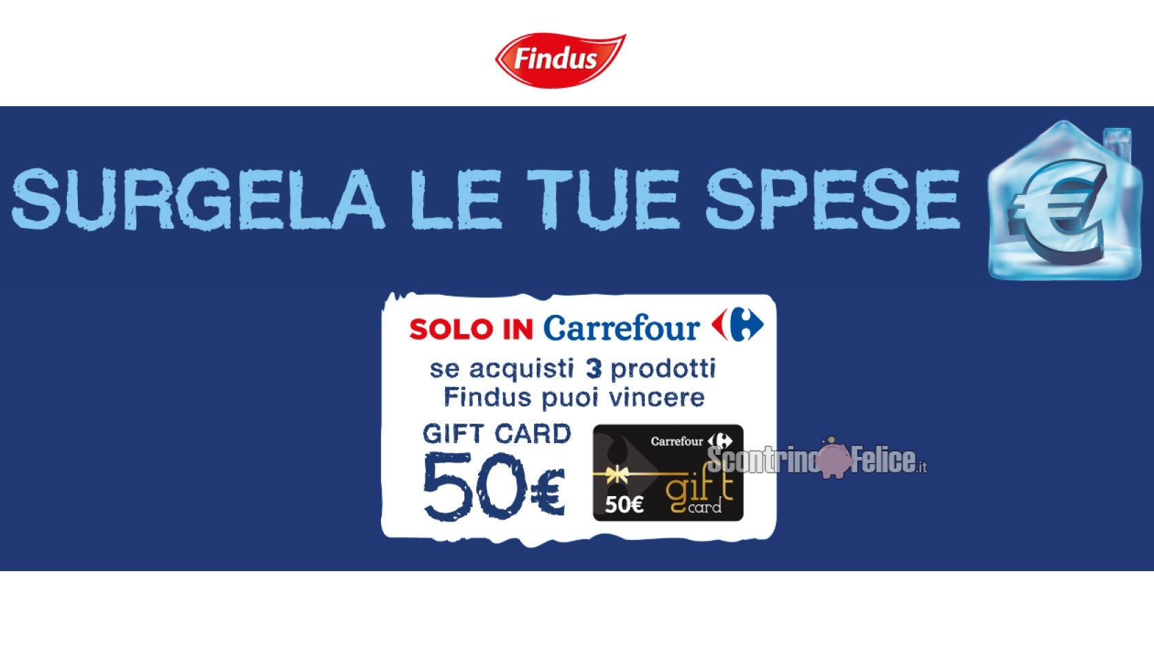 Concorso Findus da Carrefour Surgela le tue spese