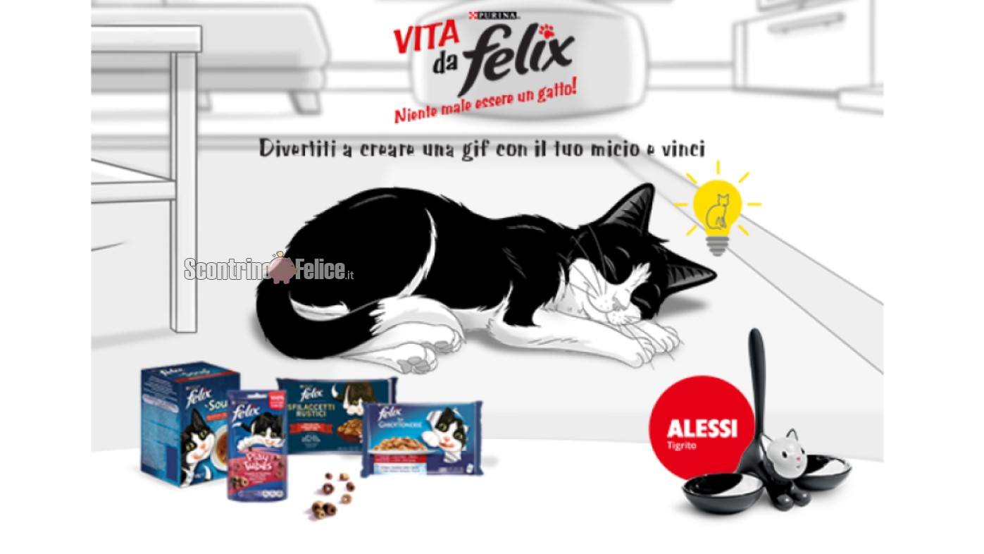 concorso gratuito VITA DA FELIX Niente male essere un gatto