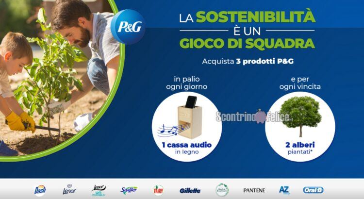 Concorso P&G La sostenibilità è un gioco di squadra da Carrefour vinci Casse audio in legno