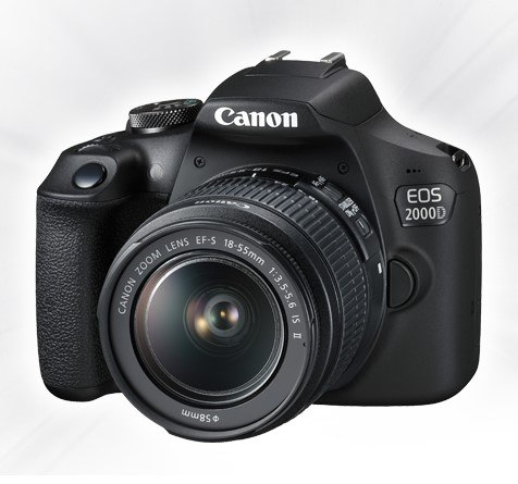 Concorso "Un pulito da fotografare": vinci gift card Idea Shopping e macchine fotografiche Canon 1