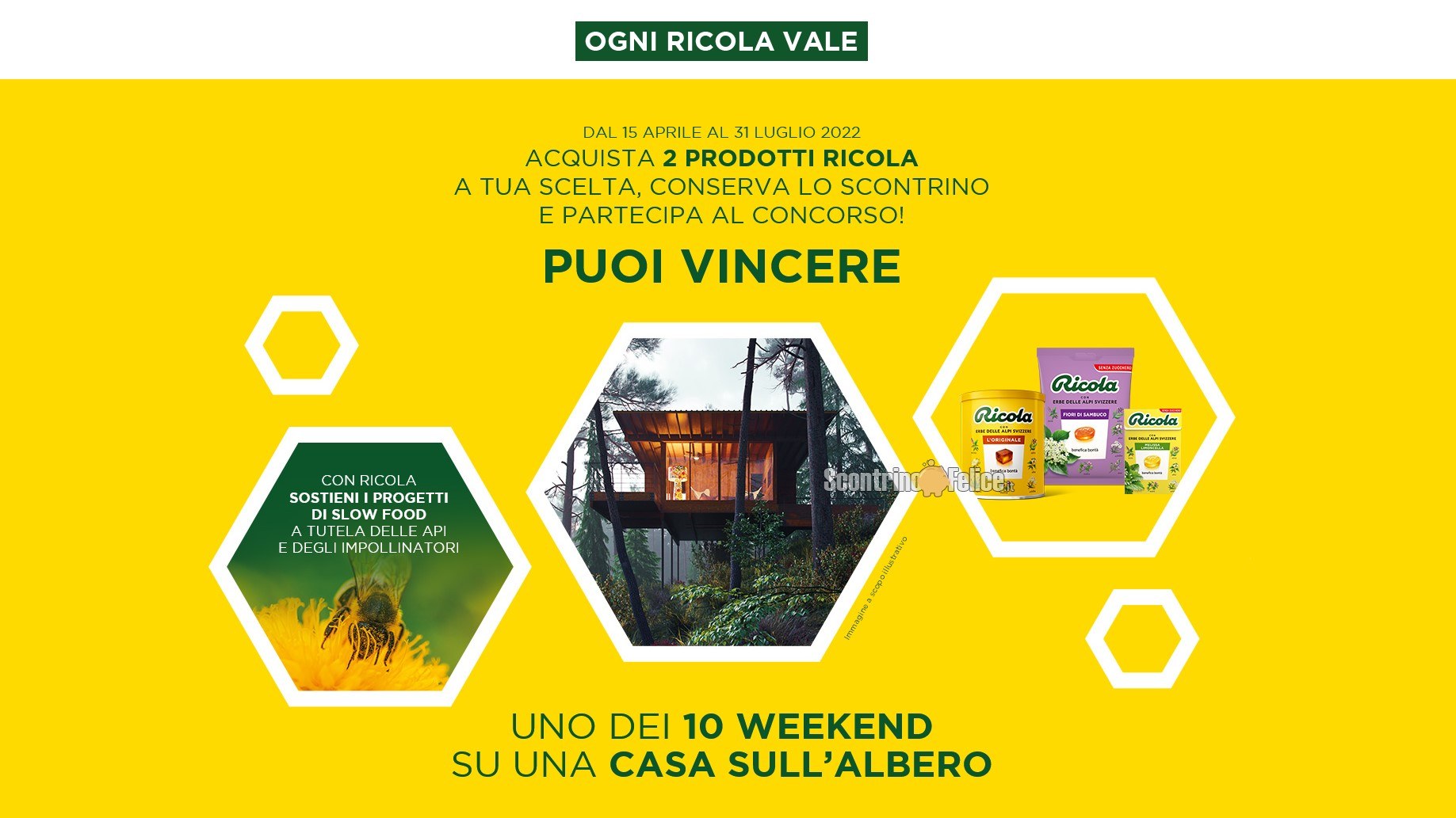 Concorso "Ogni Ricola vale": in palio 10 voucher weekend sulla casa sull'albero!