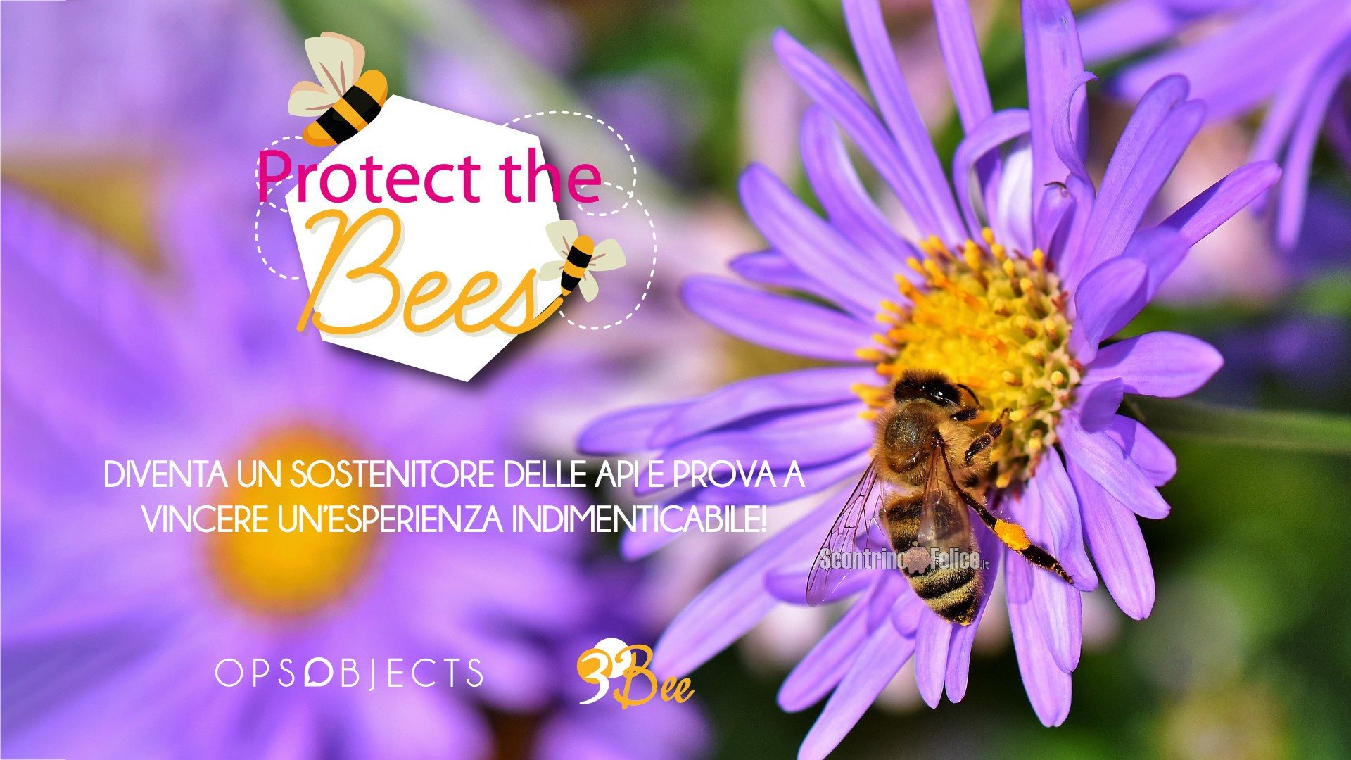 Concorso Ops Object "Protect the Bees": adotta un alveare (come premio sicuro) e diventa apicoltore per un giorno!