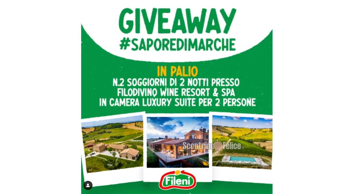 Giveaway Fileni "Sapore Di Marche": in palio 2 soggiorni presso Filodivino Wine Resort e Spa in Luxury Suite