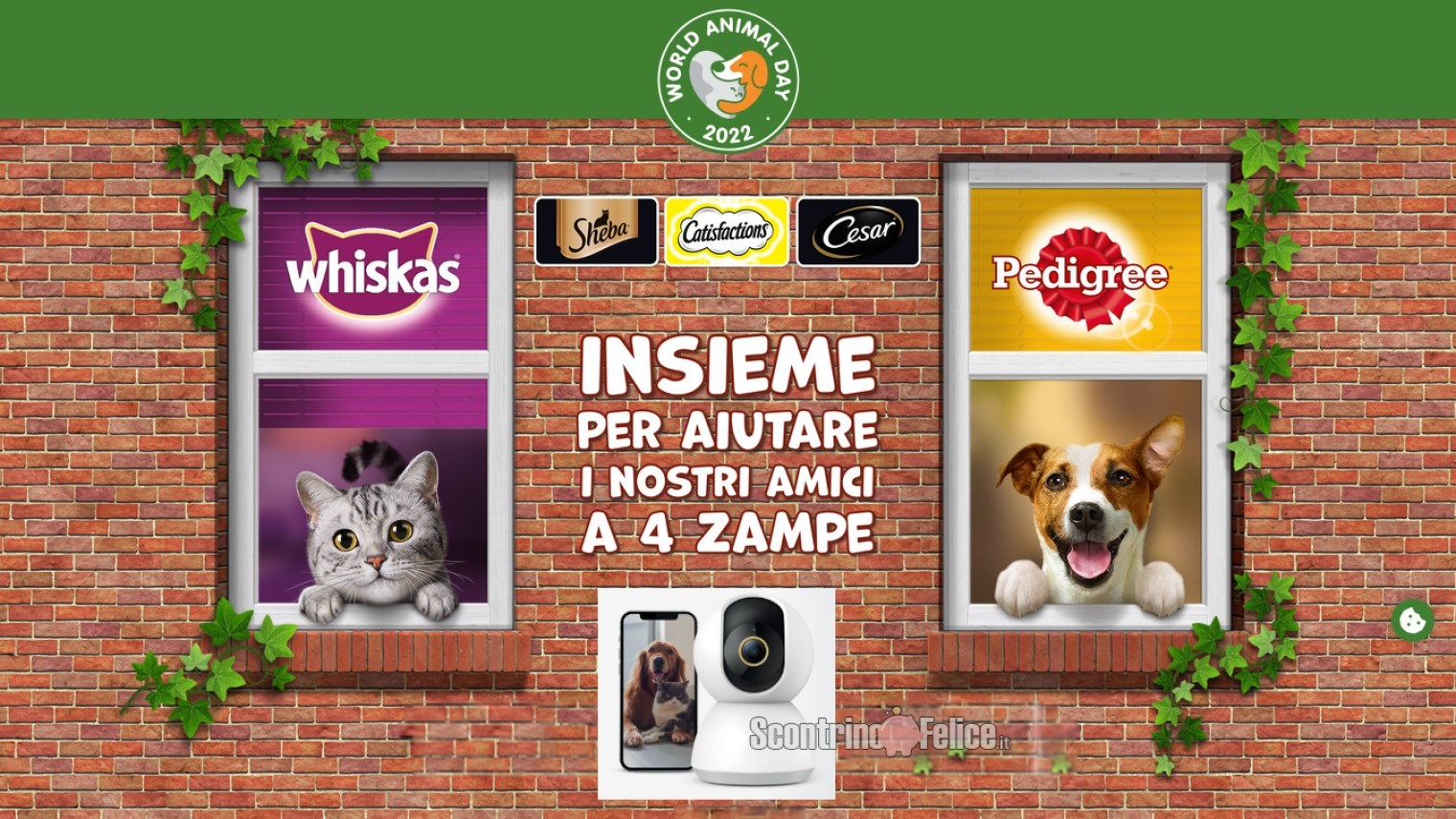 Concorso Sheba, Catisfaction, Cesar, Pedigree e Whiskas “World Animal Day 2022"