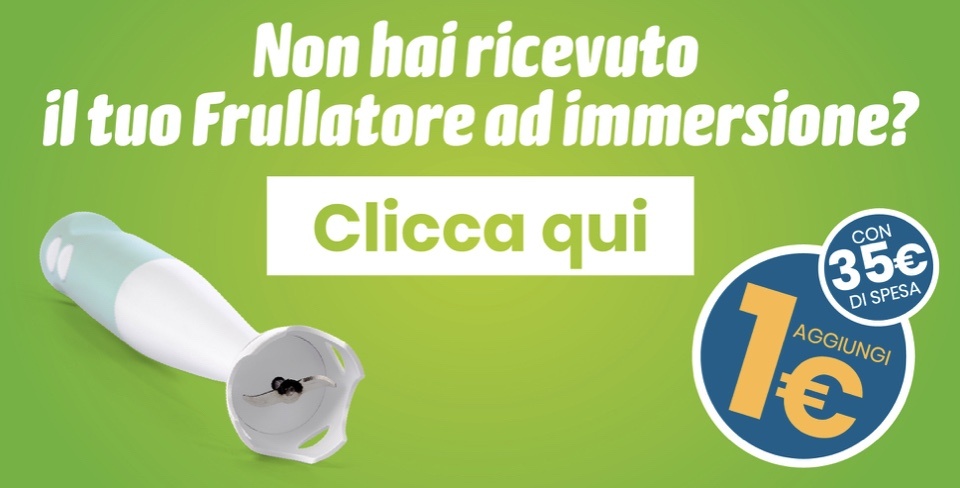 Frullatore ad immersione a solo 1 euro da Eurospin: scopri come averlo! 1