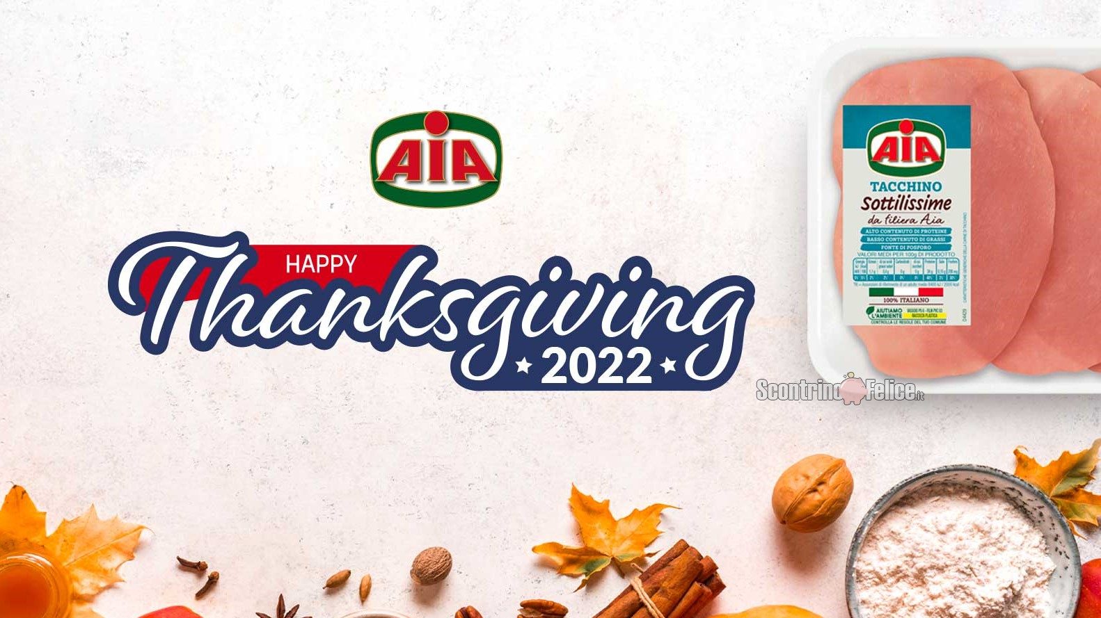 Concorso gratuito AIA "Thanksgiving": vinci un viaggio a New York!