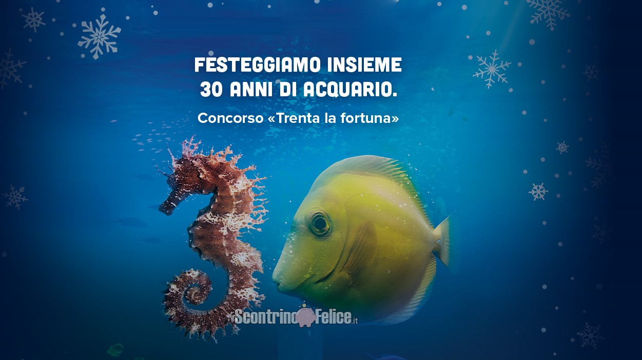 Calendario dell’Avvento Acquario di Genova 2022: vinci coppie di ingressi!