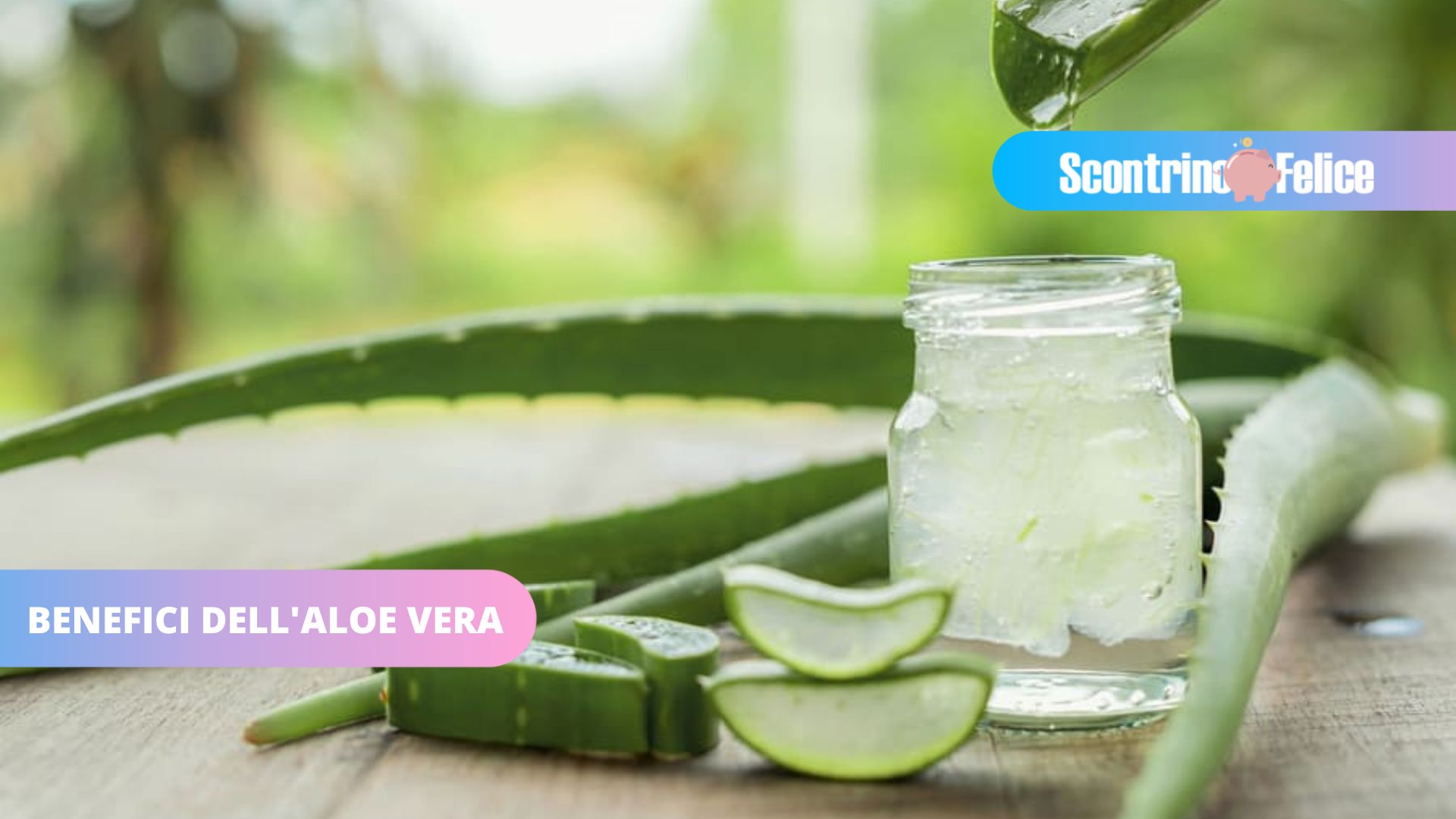 Aloe vera, economica e dai mille usi: scopriamo insieme i suoi benefici!