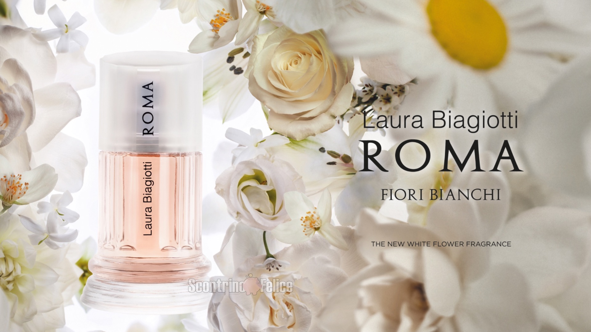 Concorso gratuito Laura Biagiotti “Roma fiori bianchi”: vinci bouquet e weekend in Provenza