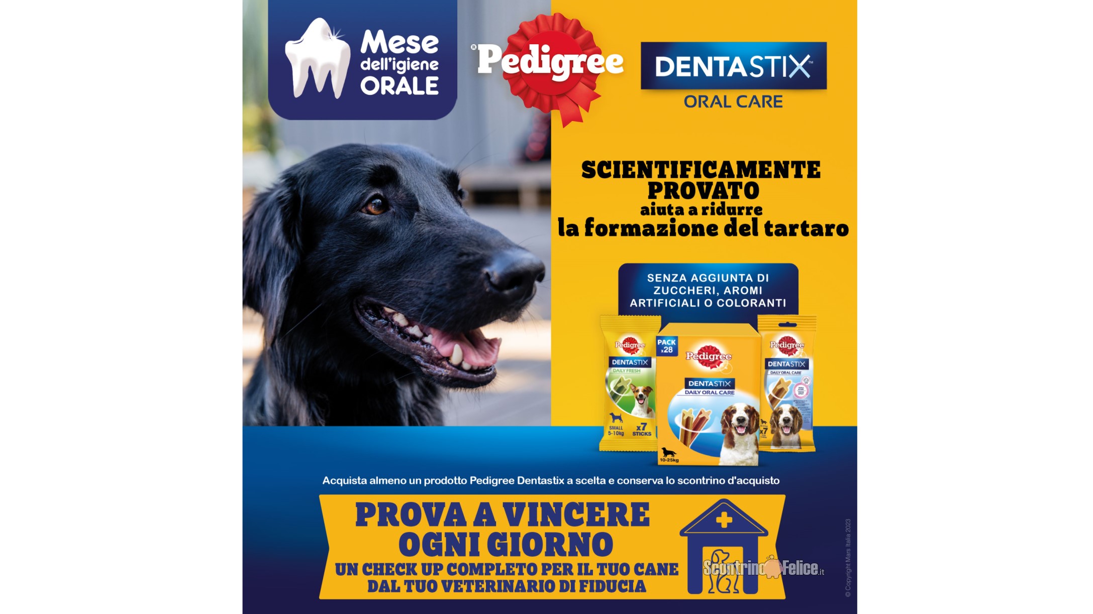 Pedigree “Mese Igiene Orale 2023”: vinci un check up veterinario completo del tuo cane!
