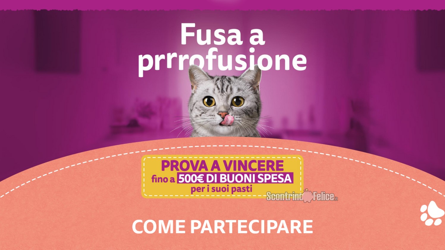 Concorso Whiskas "Fusa a profusione": vinci buoni spesa fino a 500 euro!