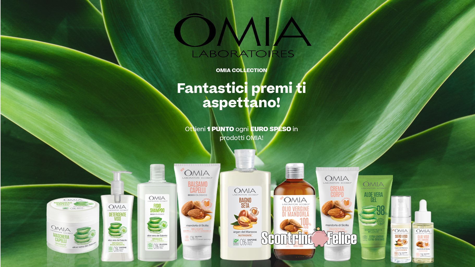 Raccolta punti Omia collection 2023