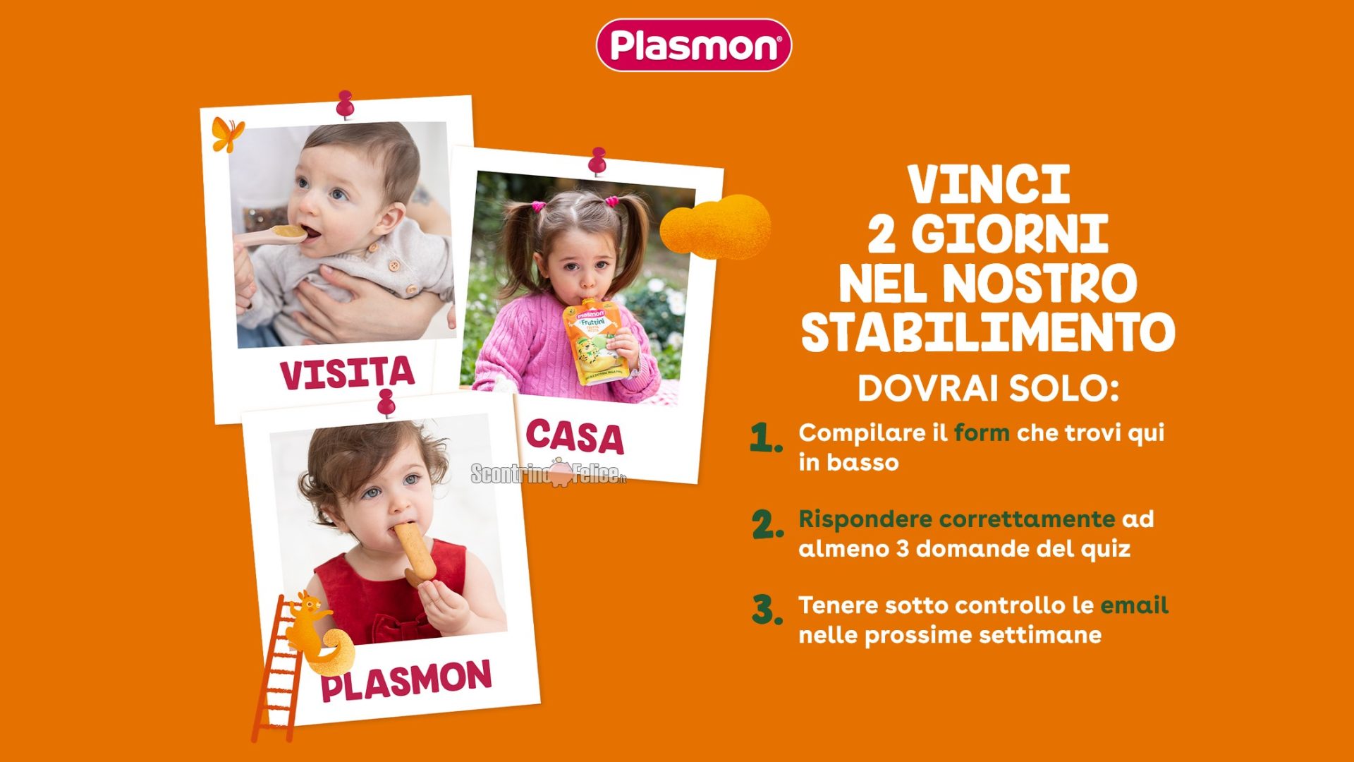 Vinci gratis una visita allo stabilimento Plasmon a Latina per tutta la famiglia