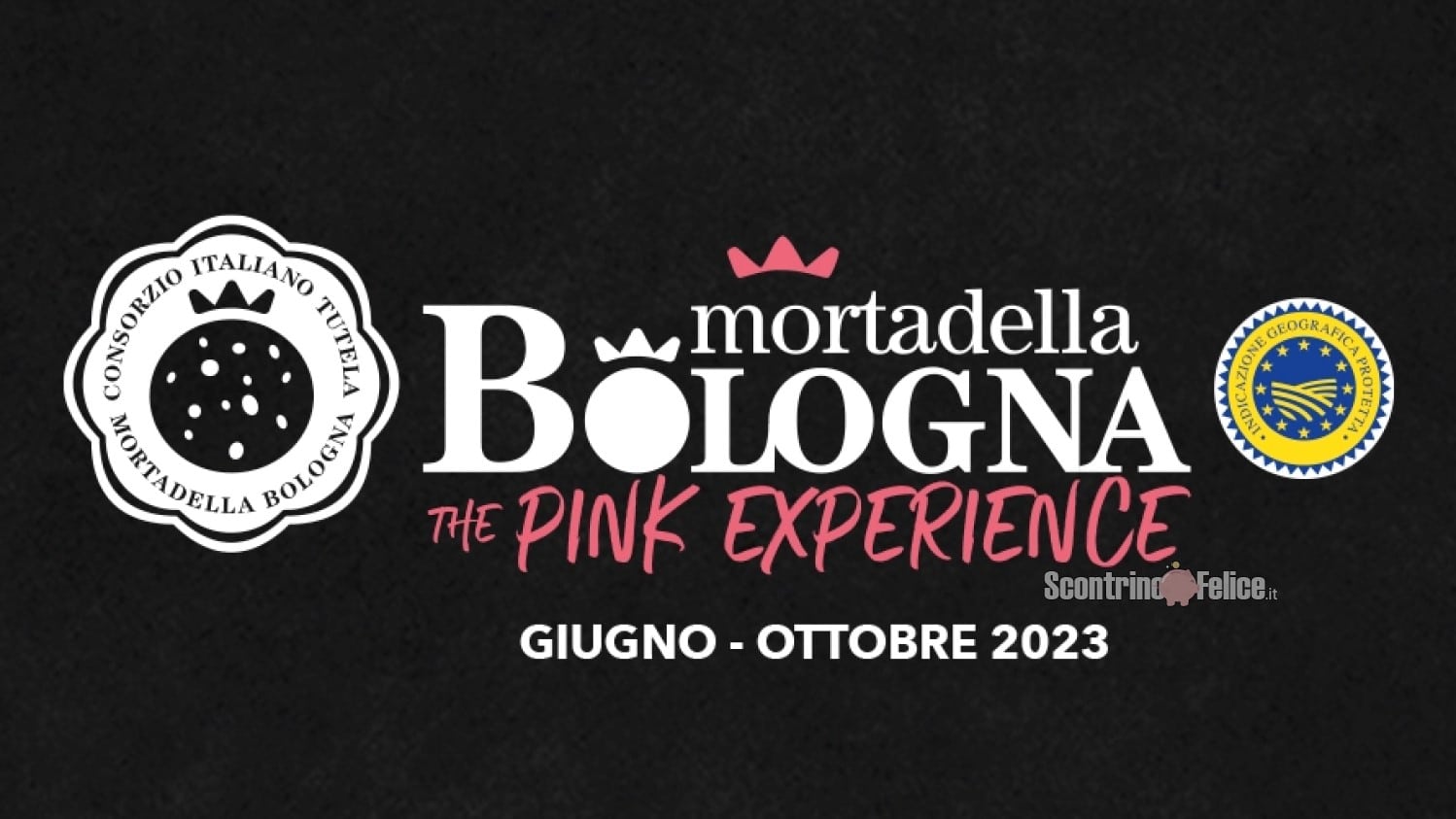 The Pink Music Experience: vinci GRATIS coppie di biglietti per concerti