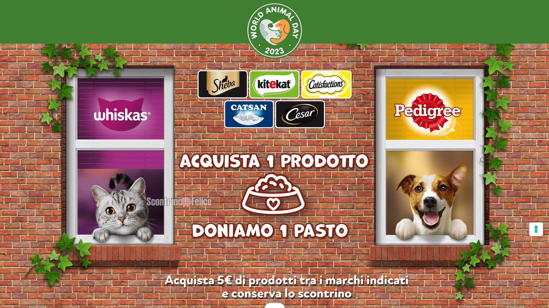 Concorso Sheba, Catisfaction, Catsan, Cesar, Pedigree, Whiskas e Kitekat “World Animal Day 2023”: vinci collari GPS