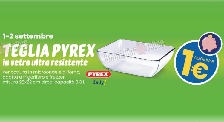 Teglia Pyrex a 1 euro da Eurospin: scopri come averla!