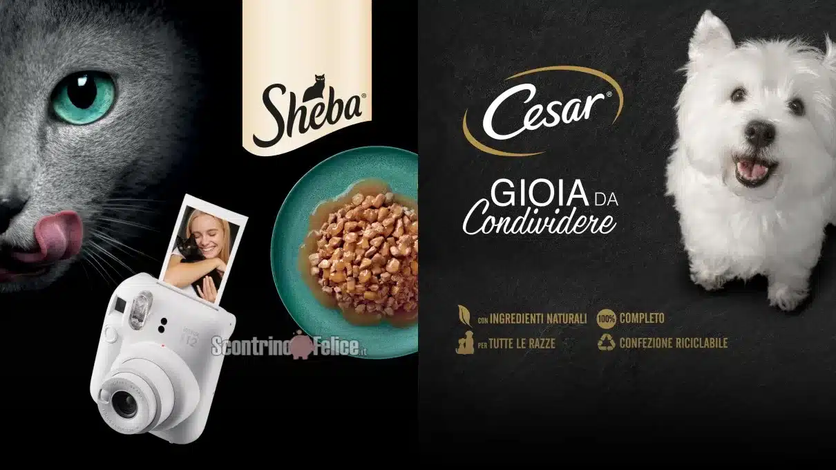 Concorso Sheba e Cesar: vinci Instax Mini 12 Fujifilm